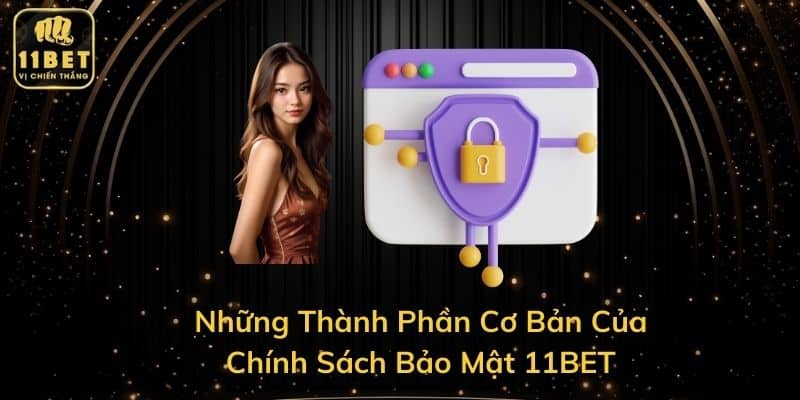 Những Thành Phần Cơ Bản Của Chính Sách Bảo Mật 11BET